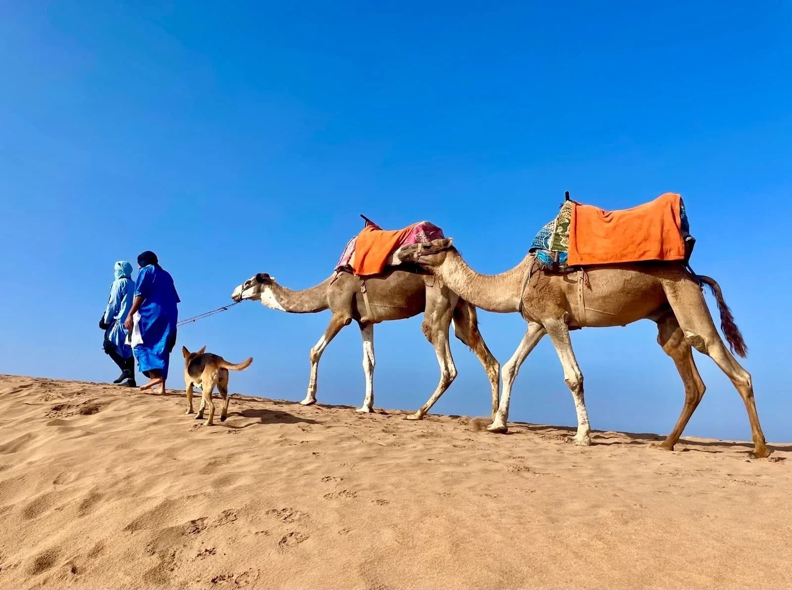 Legzira, Sidi Ifni y desierto de El Borj - 2 días, 1 noche desde Agadir 2