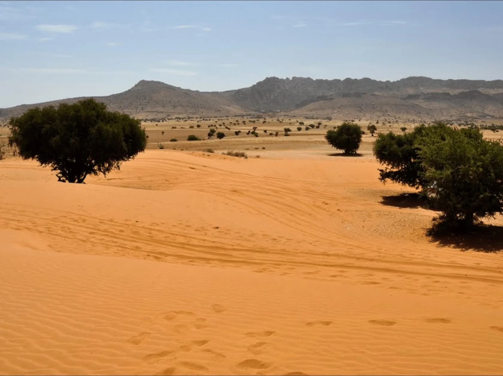 Excursion dans le Petit désert (Sahara) depuis Agadir