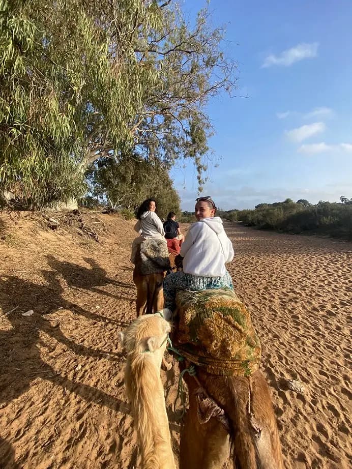 Balade dromadaire Agadir, une experience a vivre