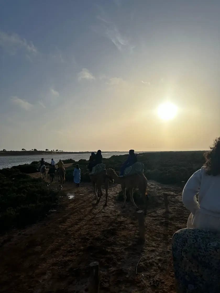 Balade dromadaire Agadir au couche de soleil