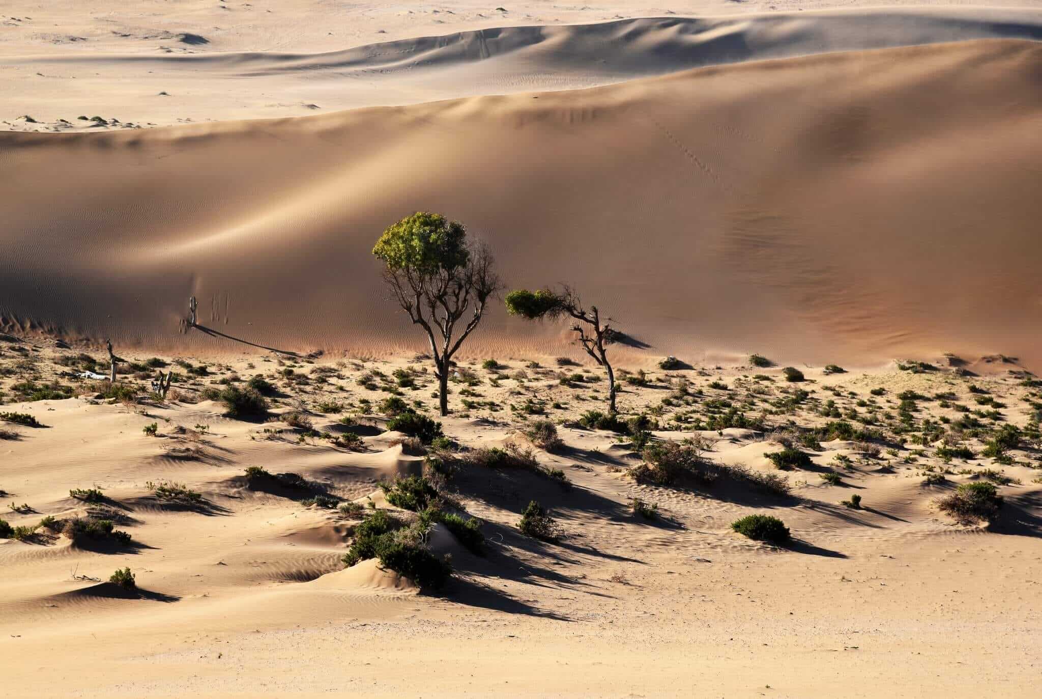 Parc National de Souss Massa