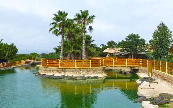 Bassins parc croco Agadir