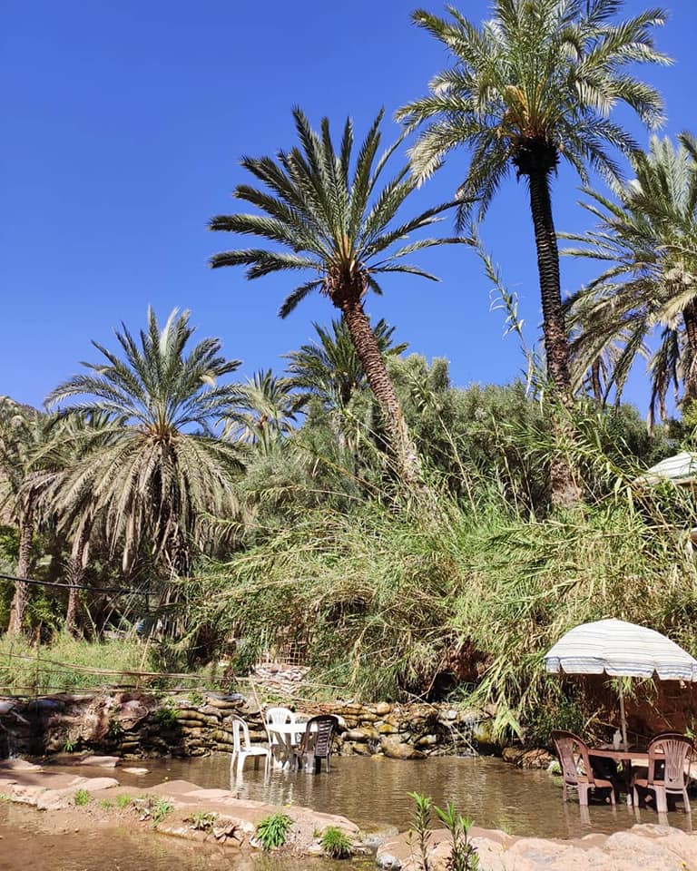 Manger les pieds dans l'eau vallée du paradis Agadir