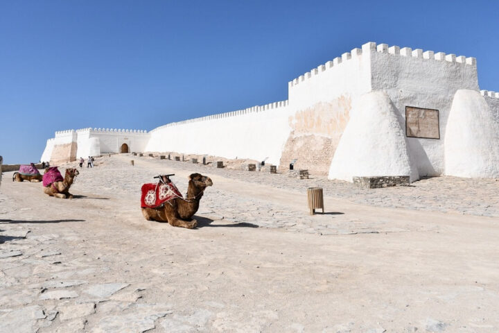 kasbah oufella Agadir chameaux