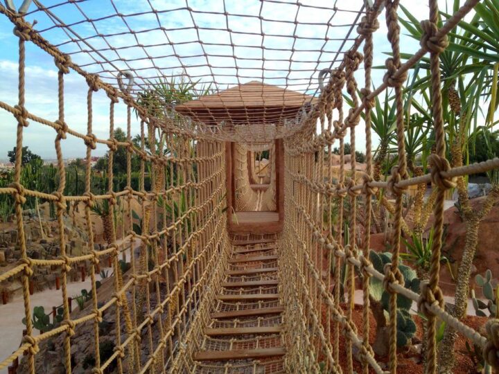 Jardín de cactus Puente de monos