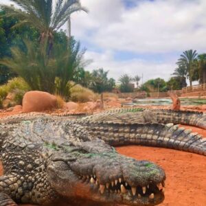 crocopark Agadir